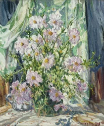 Still-life with Cosmos